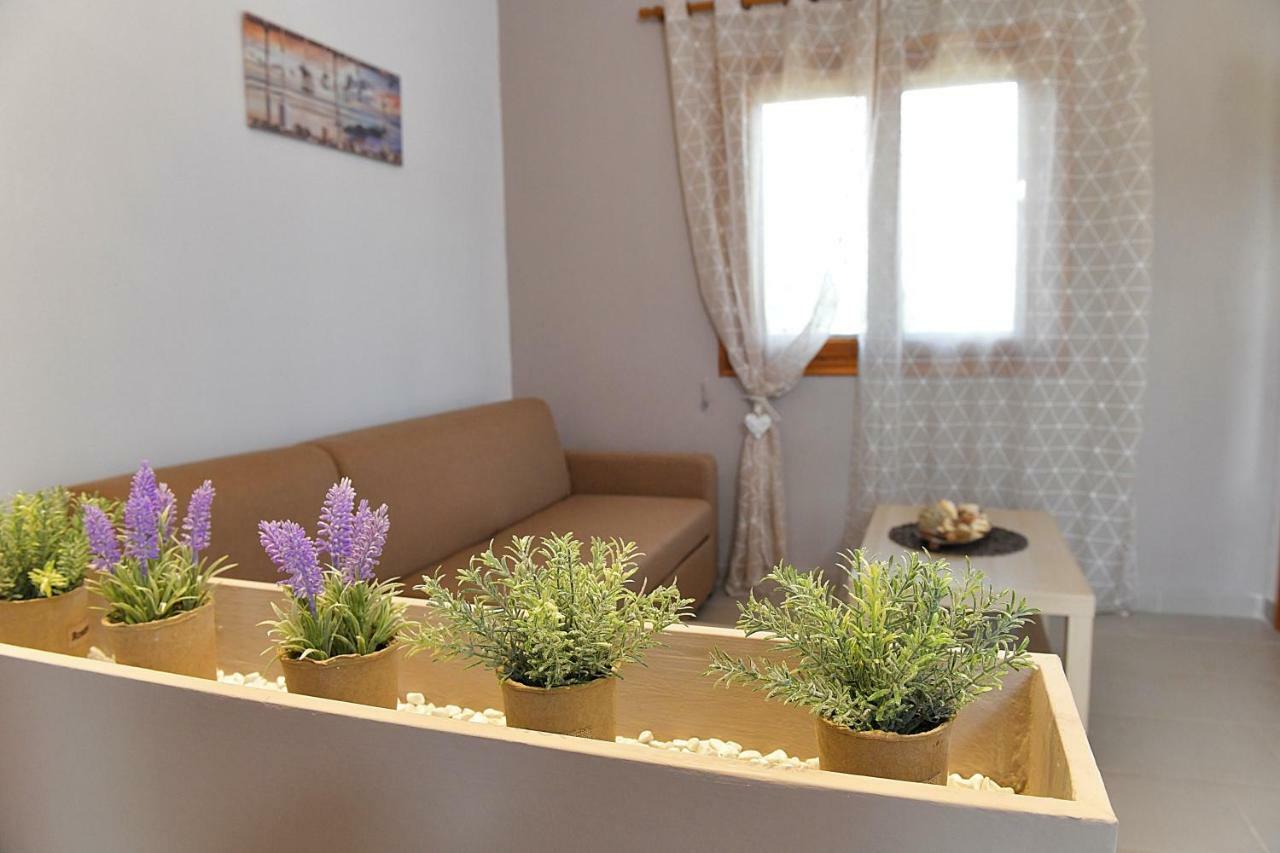Elaionas Apt. Psakoudia Bagian luar foto